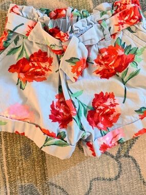Janie and Jack Light Blue Floral Paperbag Waist Shorts